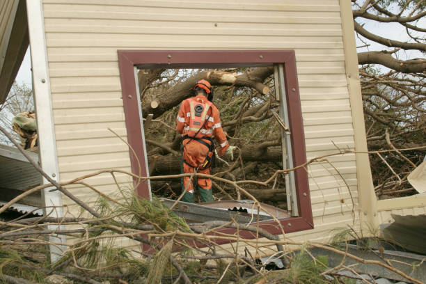 Billington Heights, NY Tree Services Company